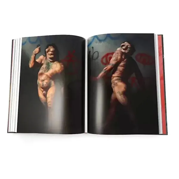 Massa Confusa. The Art of Christian Rex van Minnen