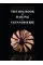 The Big Book of Baking & Viennoiserie