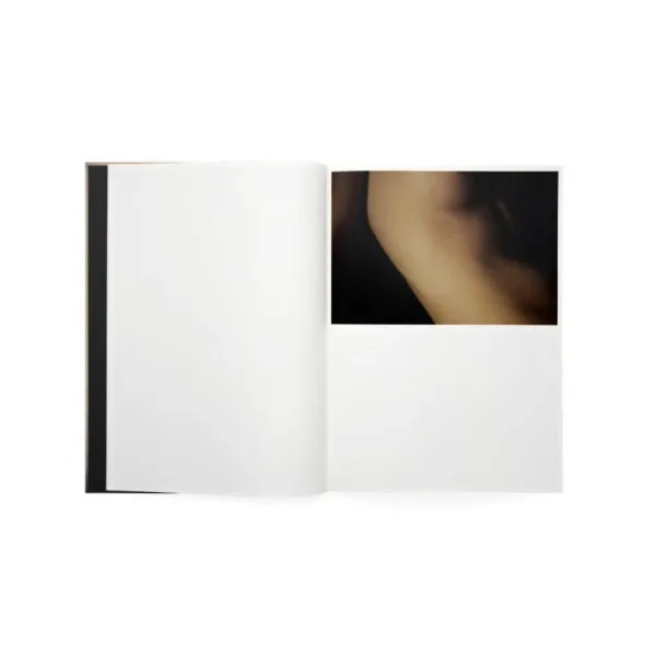 David Lynch: Digital Nudes