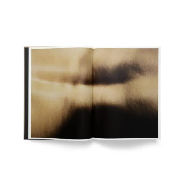David Lynch: Digital Nudes