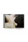 David Lynch: Digital Nudes