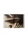 David Lynch: Digital Nudes