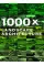 1000x Landscape Architecture