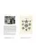 Karl Blossfeldt: Variations