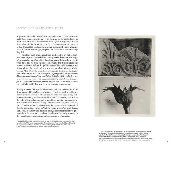 Karl Blossfeldt: Variations