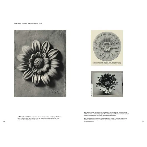 Karl Blossfeldt: Variations