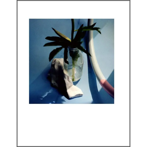 The Opéra. Volume XI. The Phoenix Issue