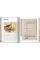 Neutra: 45th Ed.
