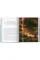 Fausto & Felice Niccolini. Houses and Monuments of Pompeii 45th Ed.