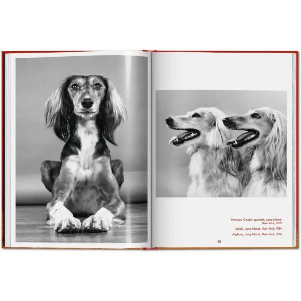 Walter Chandoha. Dogs. Photographs 1941–1991
