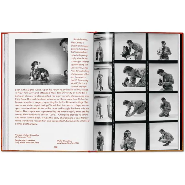 Walter Chandoha. Dogs. Photographs 1941–1991