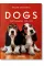 Walter Chandoha. Dogs. Photographs 1941–1991