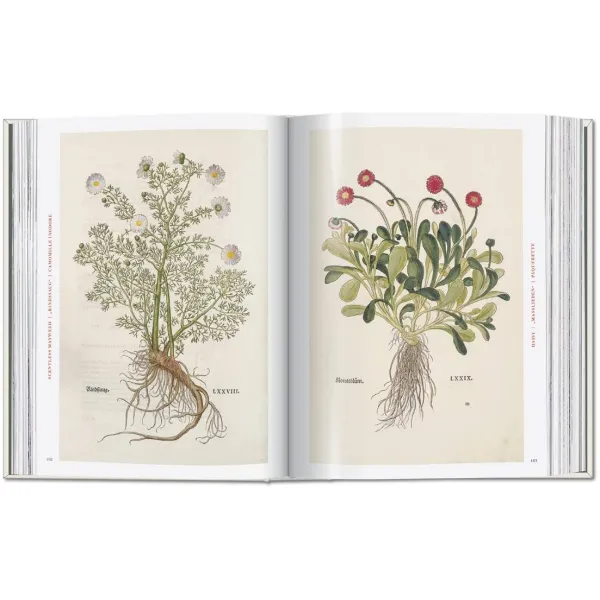 Leonhart Fuchs. The New Herbal (Sourcebook)