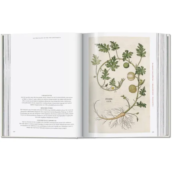 Leonhart Fuchs. The New Herbal (Sourcebook)