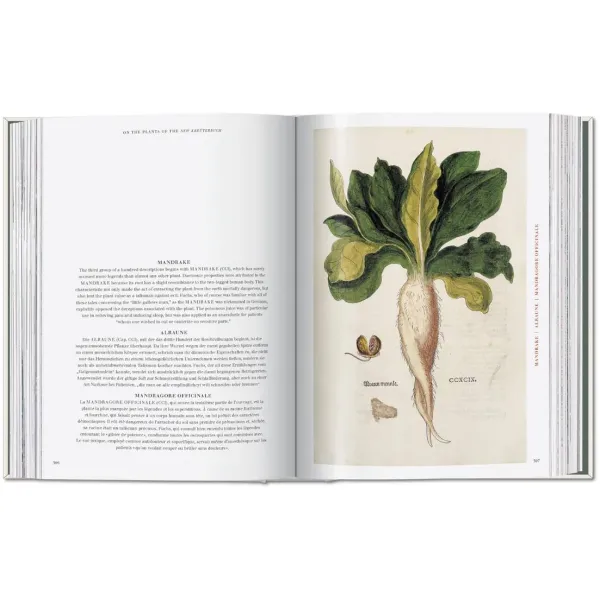Leonhart Fuchs. The New Herbal (Sourcebook)