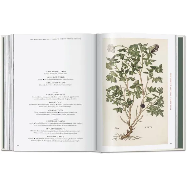 Leonhart Fuchs. The New Herbal (Sourcebook)