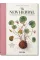 Leonhart Fuchs. The New Herbal (Sourcebook)