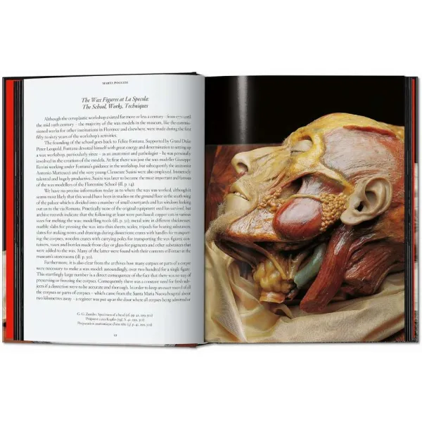 Anatomical Waxes. 45th Ed.
