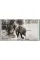 Peter Beard. The End of the Game