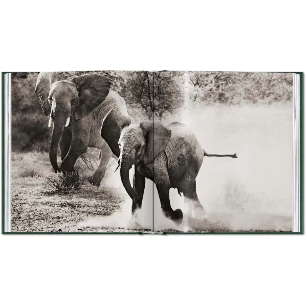 Peter Beard. The End of the Game
