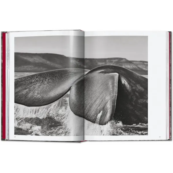 Sebastião Salgado. Genesis. 45th Ed.