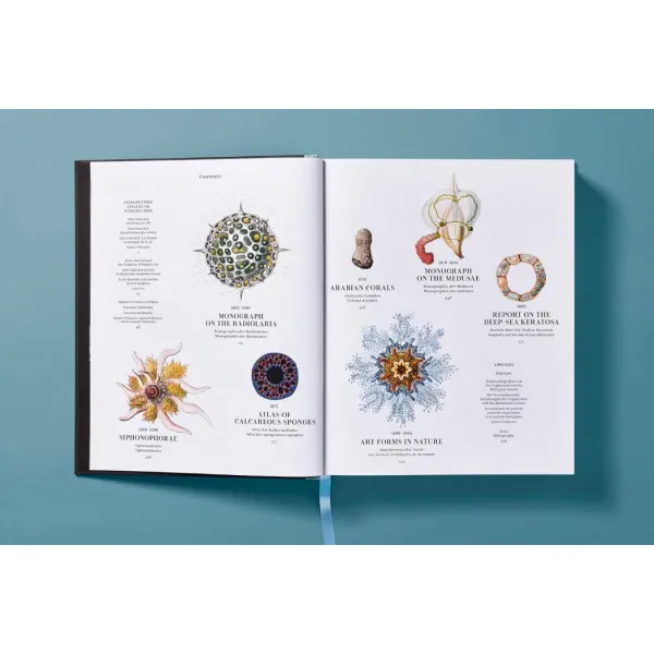 The Art and Science of Ernst Haeckel