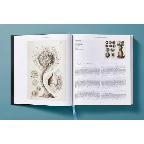 The Art and Science of Ernst Haeckel