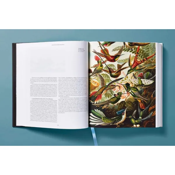 The Art and Science of Ernst Haeckel