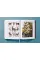 The Art and Science of Ernst Haeckel