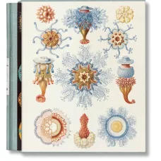 The Art and Science of Ernst Haeckel