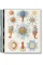 The Art and Science of Ernst Haeckel