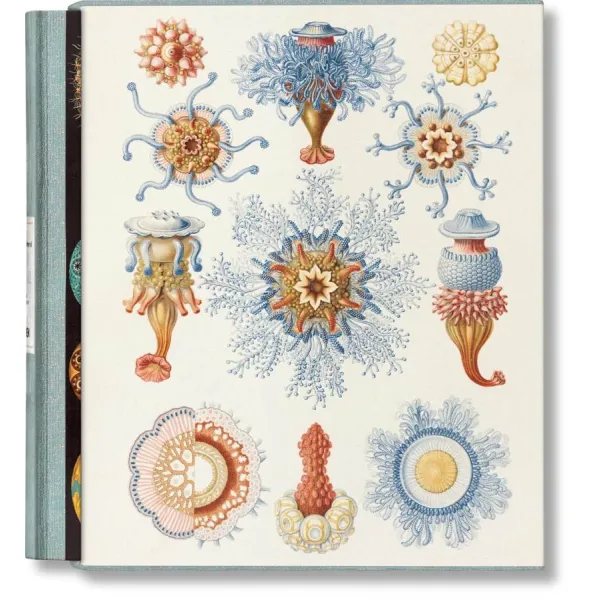 The Art and Science of Ernst Haeckel