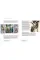 The Picasso Connection : The Artist and his Gallerist