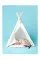 Pascale Weber: For Cats Only / Nur fur Katzen (Bilingual edition)