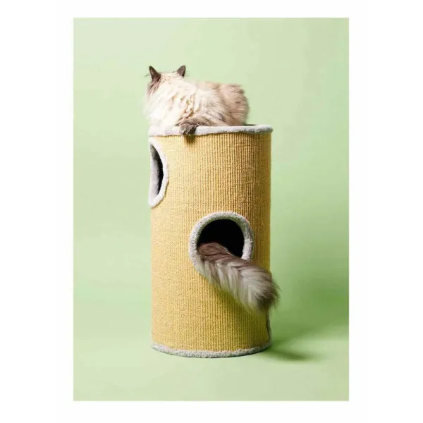 Pascale Weber: For Cats Only / Nur fur Katzen (Bilingual edition)