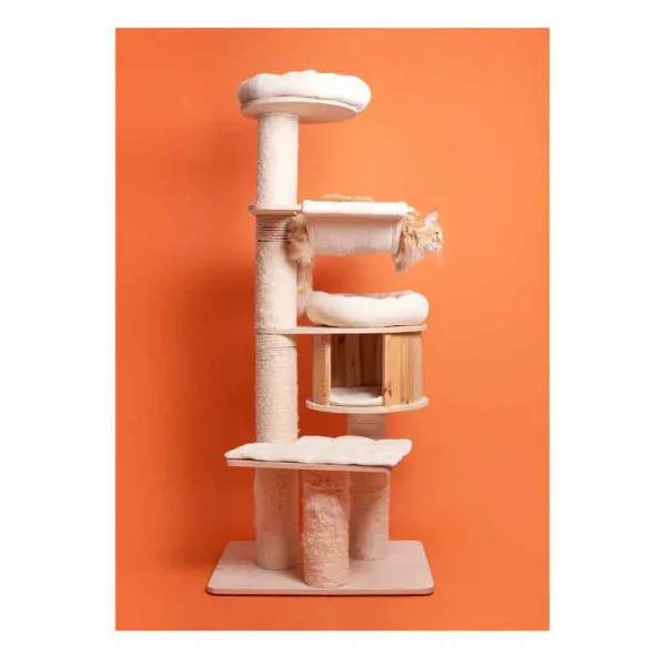 Pascale Weber: For Cats Only / Nur fur Katzen (Bilingual edition)