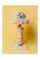Pascale Weber: For Cats Only / Nur fur Katzen (Bilingual edition)