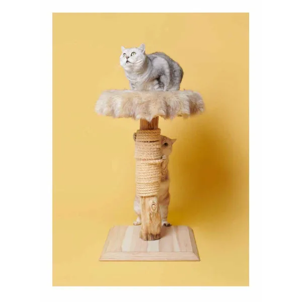 Pascale Weber: For Cats Only / Nur fur Katzen (Bilingual edition)