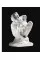 Rodin / Arp