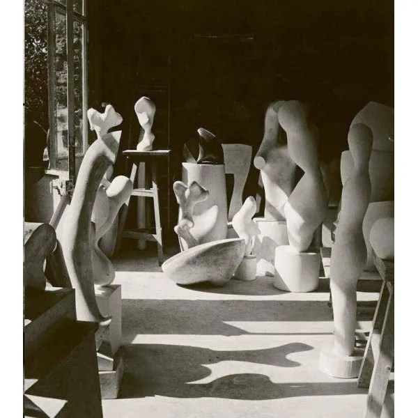 Rodin / Arp