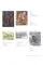 Johannes Itten Vol. II : Catalogue Raisonne Vol.II. Paintings, Watercolors, Drawings. 1939-1967