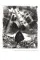 Johannes Itten & Thun : Nature in Focus