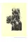 Johannes Itten & Thun : Nature in Focus