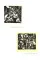 Johannes Itten & Thun : Nature in Focus