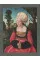 Cranach : The Early Years in Vienna