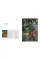 Impressionism . Reimagining Art