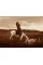 Edward S. Curtis . One Hundred Masterworks