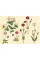 The Green Florilegium