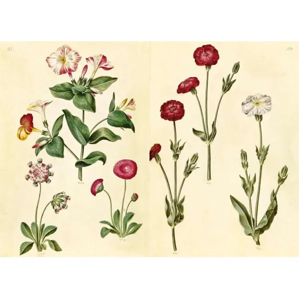 The Green Florilegium