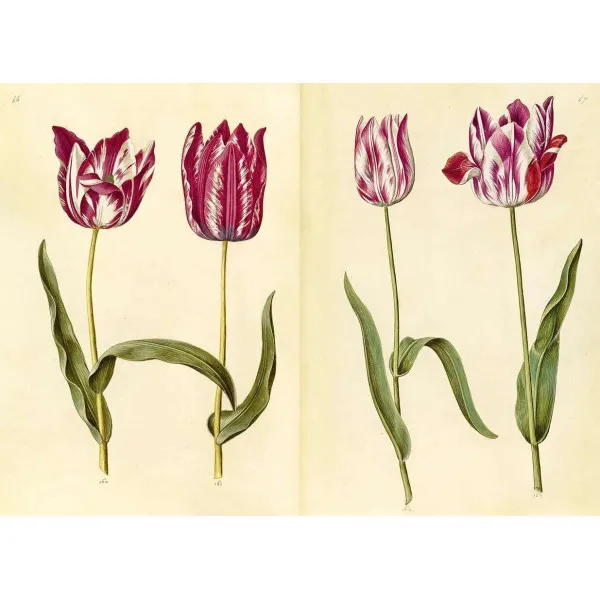 The Green Florilegium